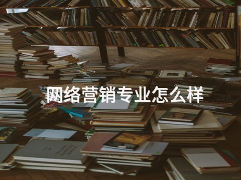 网络营销专业怎么样(图1) 网络营销专业怎么样(图1)