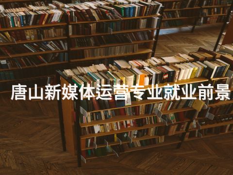 唐山新媒体运营专业就业前景(图1) 唐山新媒体运营专业就业前景(图1)