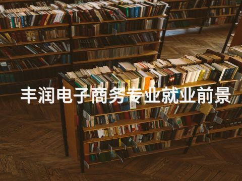 丰润电子商务专业就业前景(图1) 丰润电子商务专业就业前景(图1)