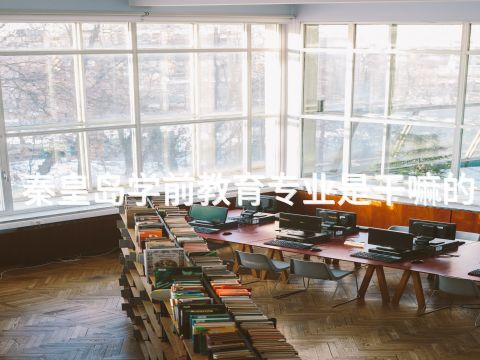 秦皇岛学前教育专业是干嘛的(图1) 秦皇岛学前教育专业是干嘛的(图1)