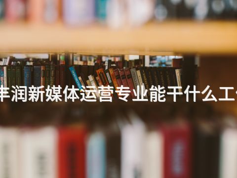 丰润新媒体运营专业能干什么工作(图1)