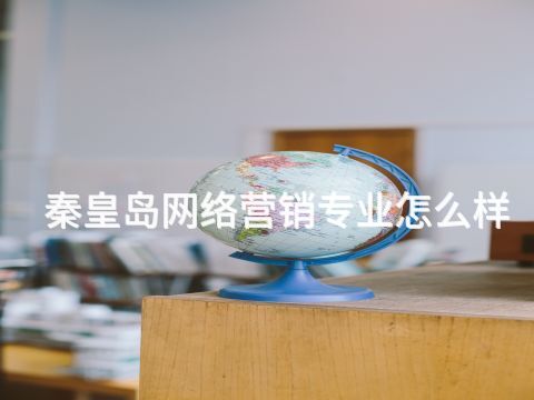 秦皇岛网络营销专业怎么样(图1) 秦皇岛网络营销专业怎么样(图1)