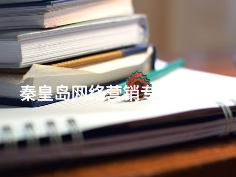 秦皇岛网络营销专业有用吗(图1) 秦皇岛网络营销专业有用吗(图1)