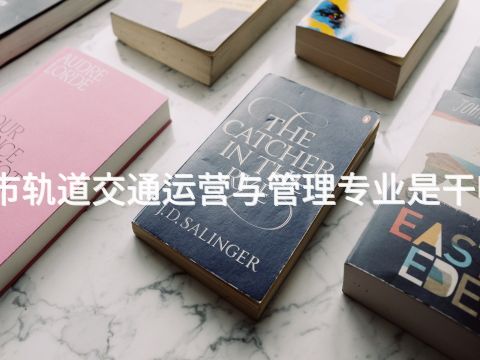 城市轨道交通运营与管理专业是干嘛的(图1) 城市轨道交通运营与管理专业是干嘛的(图1)