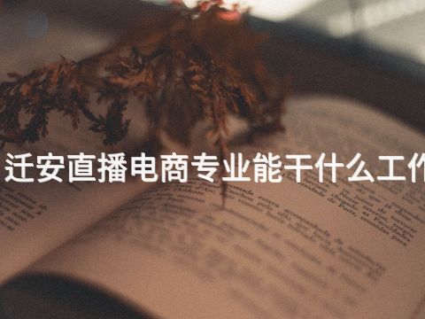 迁安直播电商专业能干什么工作(图1)