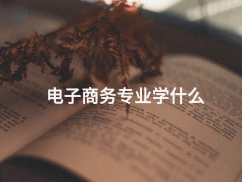 电子商务专业学什么(图1) 电子商务专业学什么(图1)