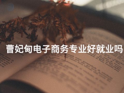 曹妃甸电子商务专业好就业吗(图1) 曹妃甸电子商务专业好就业吗(图1)