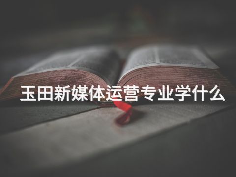 玉田新媒体运营专业学什么(图1) 玉田新媒体运营专业学什么(图1)