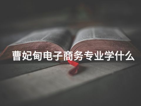 曹妃甸电子商务专业学什么(图1)
