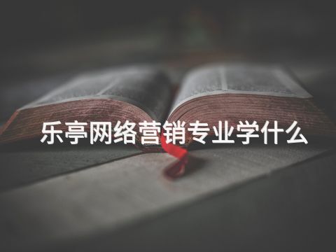 乐亭网络营销专业学什么(图1) 乐亭网络营销专业学什么(图1)