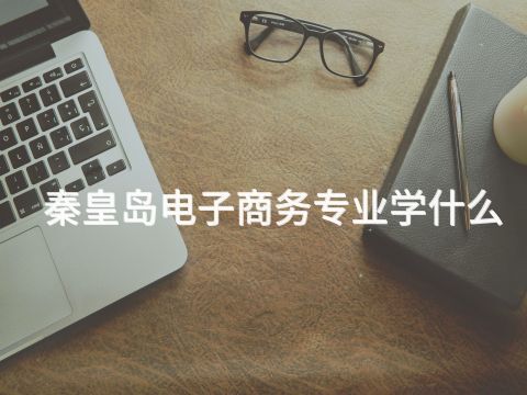 秦皇岛电子商务专业学什么(图1)