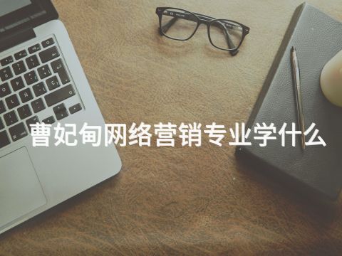 曹妃甸网络营销专业学什么(图1) 曹妃甸网络营销专业学什么(图1)