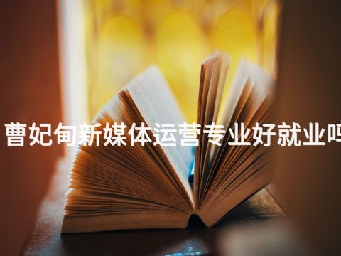 曹妃甸新媒体运营专业好就业吗(图1)
