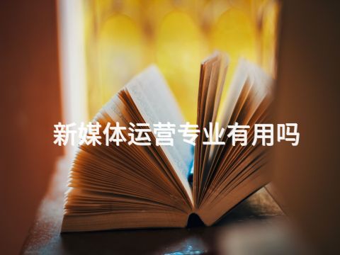 新媒体运营专业有用吗(图1) 新媒体运营专业有用吗(图1)