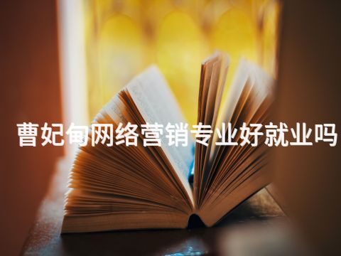 曹妃甸网络营销专业好就业吗(图1) 曹妃甸网络营销专业好就业吗(图1)