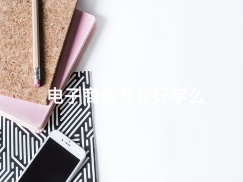 电子商务专业好学么(图1) 电子商务专业好学么(图1)