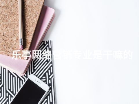乐亭网络营销专业是干嘛的(图1) 乐亭网络营销专业是干嘛的(图1)