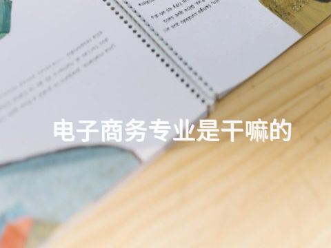 电子商务专业是干嘛的(图1) 电子商务专业是干嘛的(图1)