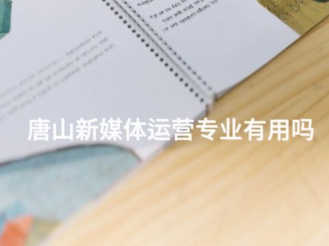 唐山新媒体运营专业有用吗(图1)