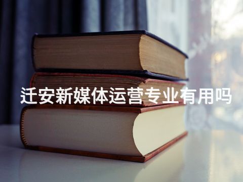 迁安新媒体运营专业有用吗(图1)