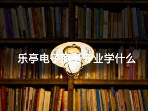 乐亭电子商务专业学什么(图1) 乐亭电子商务专业学什么(图1)