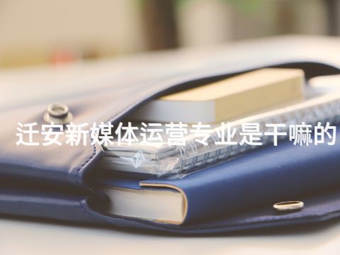 迁安新媒体运营专业是干嘛的(图1)
