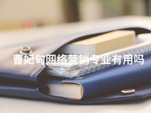 曹妃甸网络营销专业有用吗(图1) 曹妃甸网络营销专业有用吗(图1)