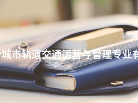 古冶城市轨道交通运营与管理专业有用吗(图1) 古冶城市轨道交通运营与管理专业有用吗(图1)