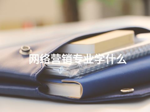 网络营销专业学什么(图1) 网络营销专业学什么(图1)
