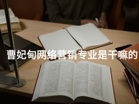 曹妃甸网络营销专业是干嘛的(图1) 曹妃甸网络营销专业是干嘛的(图1)