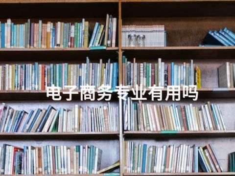 电子商务专业有用吗(图1) 电子商务专业有用吗(图1)