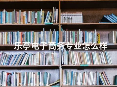 乐亭电子商务专业怎么样(图1) 乐亭电子商务专业怎么样(图1)