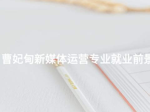 曹妃甸新媒体运营专业就业前景(图1)