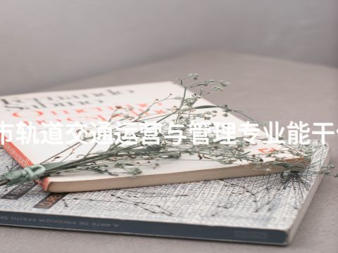 承德城市轨道交通运营与管理专业能干什么工作(图1) 承德城市轨道交通运营与管理专业能干什么工作(图1)