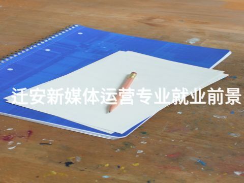 迁安新媒体运营专业就业前景(图1)