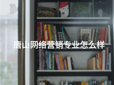 唐山网络营销专业怎么样(图1) 唐山网络营销专业怎么样(图1)