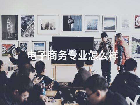 电子商务专业怎么样(图1) 电子商务专业怎么样(图1)