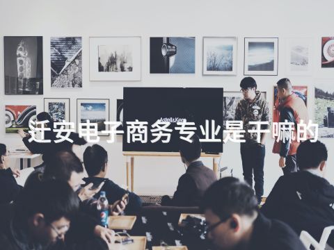 迁安电子商务专业是干嘛的(图1) 迁安电子商务专业是干嘛的(图1)