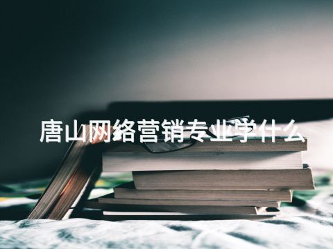 唐山网络营销专业学什么(图1)