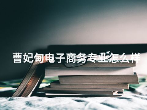 曹妃甸电子商务专业怎么样(图1) 曹妃甸电子商务专业怎么样(图1)