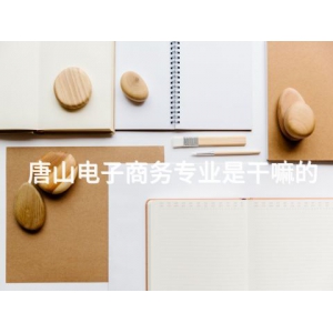 唐山电子商务专业是干嘛的