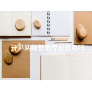 开平网络营销专业有用吗