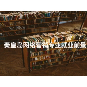 秦皇岛网络营销专业就业前景