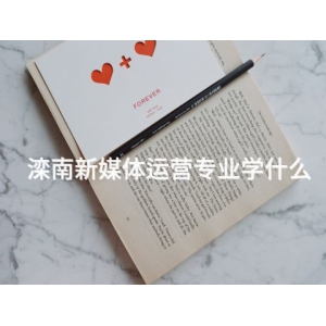 滦南新媒体运营专业学什么