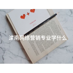 滦南网络营销专业学什么