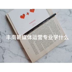 丰南新媒体运营专业学什么