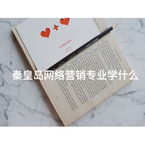 秦皇岛网络营销专业学什么