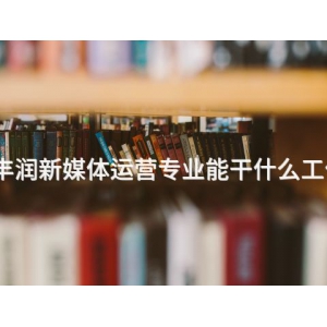 丰润新媒体运营专业能干什么工作