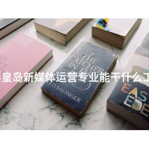 秦皇岛新媒体运营专业能干什么工作