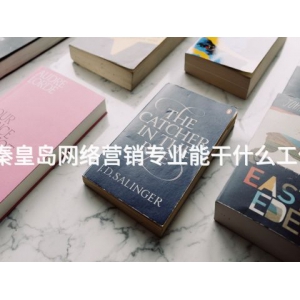 秦皇岛网络营销专业能干什么工作